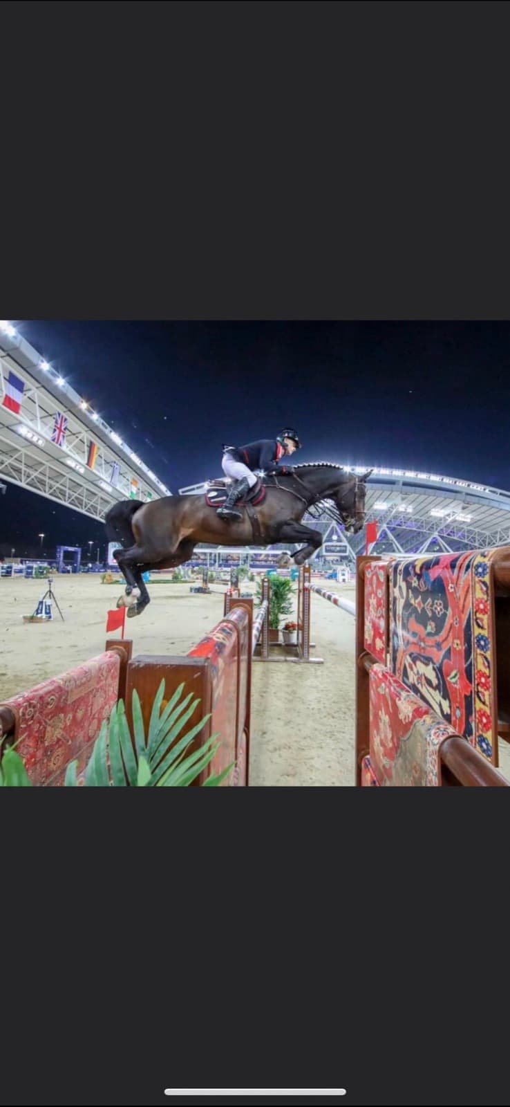 Performance horse clearing a jump under stadium lights